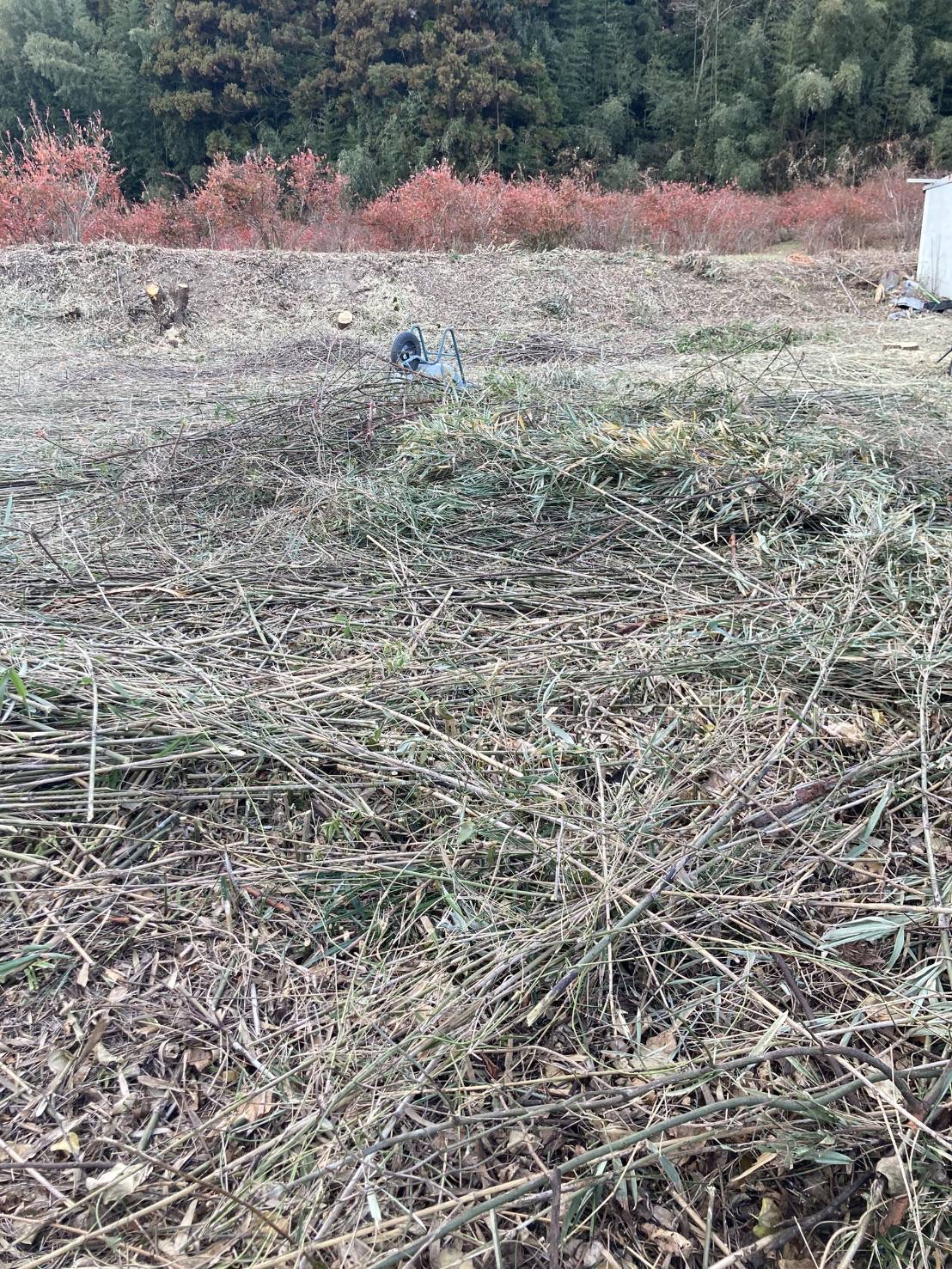 230坪の草刈り・伐採工事(畑の更地化作業)